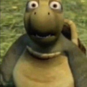 Meet your Posher, Aaliyah